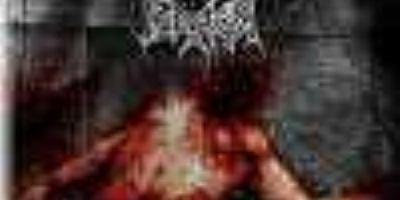Psychopathic Terror - Fucker