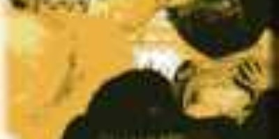 Cerebral Turbulency - Crash Test