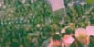 Japanische Kampfhörspiele - Bilder Fressen Strom