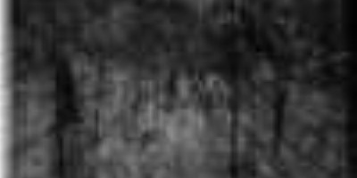 Animus Mortis - Thresholds of Insanity