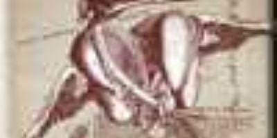 Circle Of Dead Children - Zero Comfort Margin