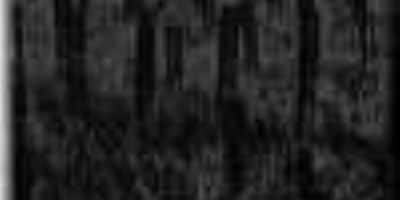Truppensturm - Fields Of Devastation