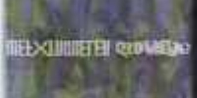 Afgrund / Relevant Few - Split CD