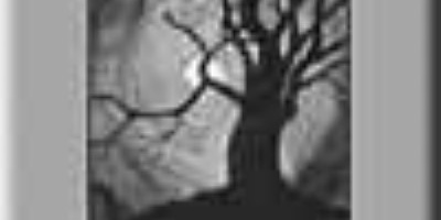 Striborg - Mysterious Semblance