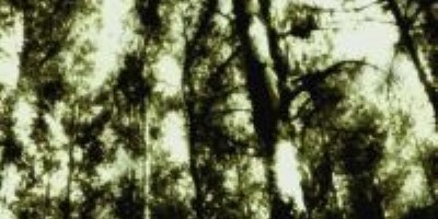 Kladovest - Atmosphere
