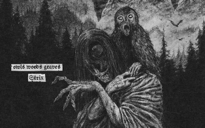 Owls Woods Graves - Strix