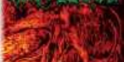 Grotesque - Museum Of Human Disease