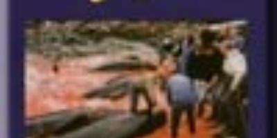 Seasick - Bestie Mensch