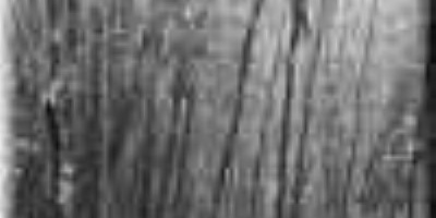 Striborg - Ghostwoodlands
