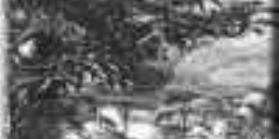 Gritos de Alerta / Sick Terror - Split 7