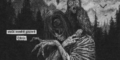 Owls Woods Graves - Strix