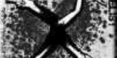 Next On The List - Promo 2006