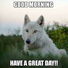 Wolf.jpeg